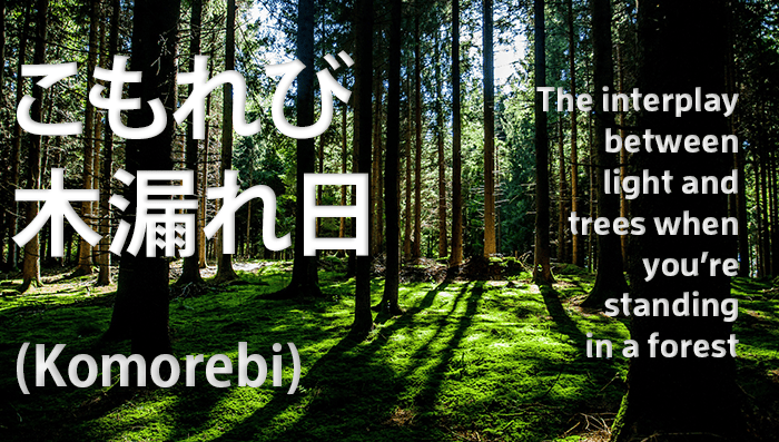 Learn Japanese: 5 Untranslatable Japanese Words